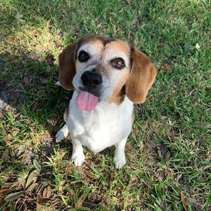 Meet your Posher, Marcie and Maggie